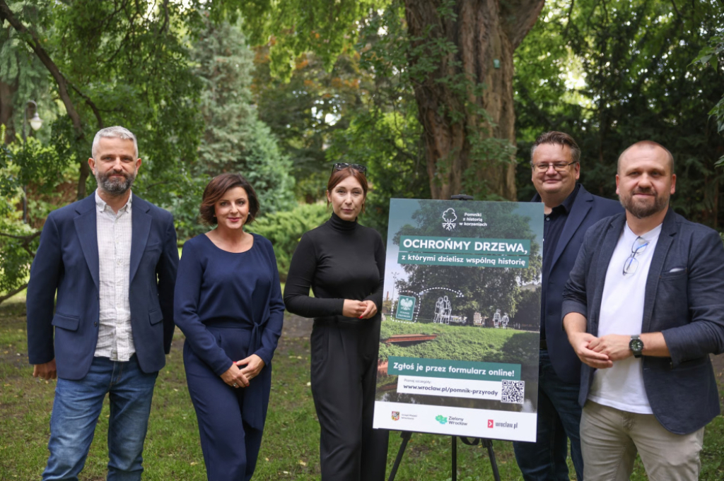 Wrocław szuka nowych pomników przyrody. Każdy może zgłosić wybrane drzewo - Wrocław szuka nowych pomników przyrody. Każdy może zgłosić drzewo.