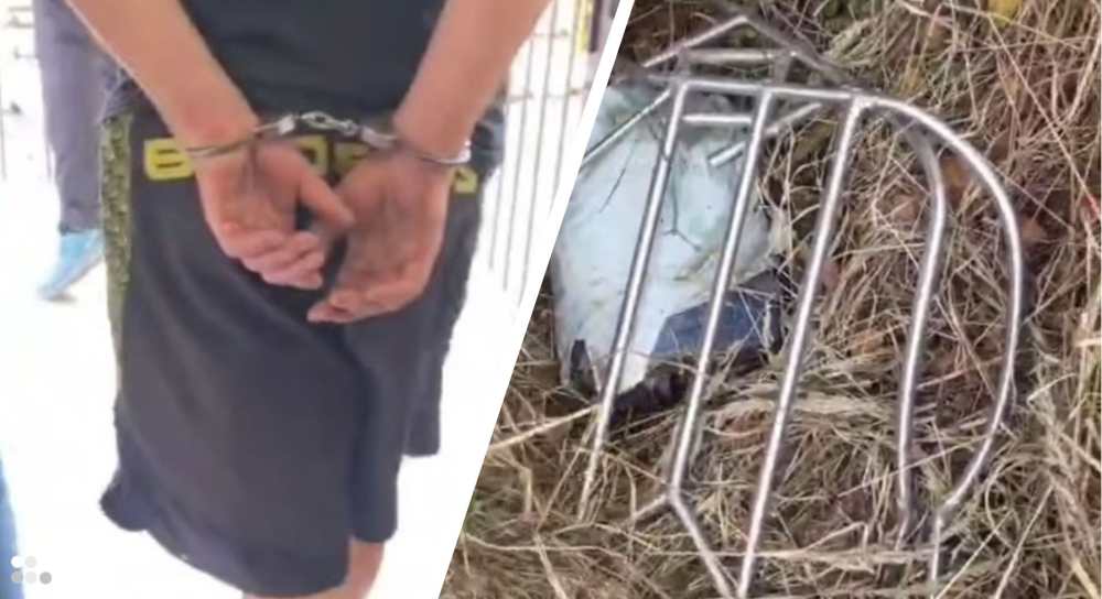 Złodziej krzyża z cerkwi w Legnicy został zatrzymany. Znaleziono też pocięty "łup" [WIDEO] - Złodziej krzyża z cerkwi w Legnicy został zatrzymany.