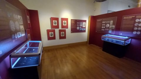 To największa kolekcja piastowskich monet zebranych w jednym miejscu. Można ją zobaczyć w Legnicy - 1