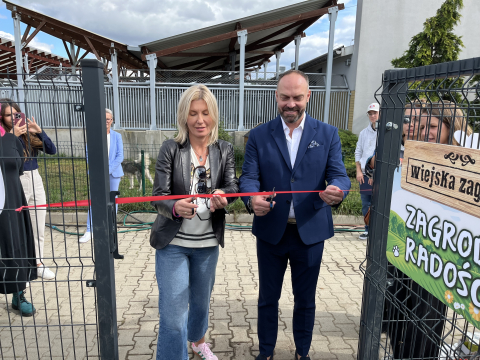 Masa zabawek i baseny z wodą. Zobacz, jak wyglądają nowe wybiegi dla psów we wrocławskim schronisku - 1