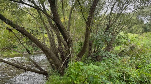 Jelenia Góra rok po powodzi. Naprawiane są drogi, czyszczone rzeki. A co z Bobrem? - 3