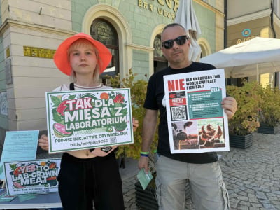 Chcą mięsa z laboratorium, są za likwidacją hodowli. We Wrocławiu zachęcali do wsparcia inicjatywy