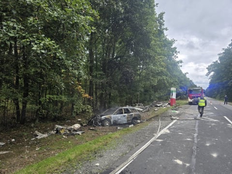Makabryczny wypadek pod Oleśnicą. Samochód uderzył w przystanek i stanął w ogniu. Kierowca nie żyje - 1