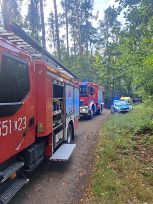 Tragiczny wypadek niedaleko Wrocławia. Motocyklista zginął po uderzeniu w drzewo - 0