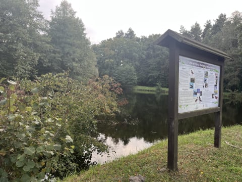 Drugie życie dla dzikich zwierząt. Ośrodek w Złotówku znów otwarty - 1