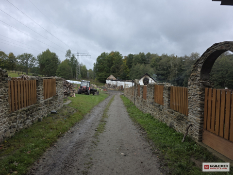 Tutaj ludzie skreśleni otrzymują wsparcie. Teraz pomocy potrzebują również zwierzęta z Albertówki - 2