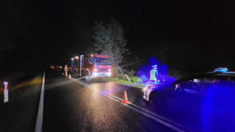 Tragiczny wypadek na Dolnym Śląsku. Samochód ściął drzewa i dachował, jedna osoba nie żyje - 0