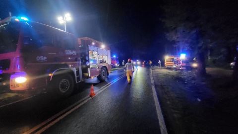 Tragiczny wypadek na Dolnym Śląsku. Samochód ściął drzewa i dachował, jedna osoba nie żyje - 1