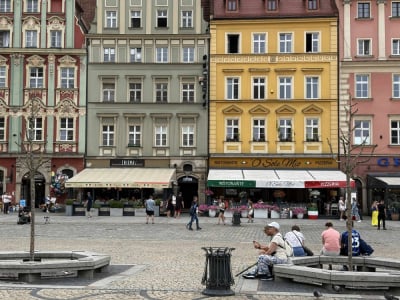 To już pewne! Na wrocławskim Rynku pojawi się zieleń. "Otwieramy się na ten trend"