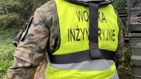 Żołnierze rozbierają zniszczoną kładkę w Lwówku Śląskim. "Bardzo, bardzo dziękujemy" - 2