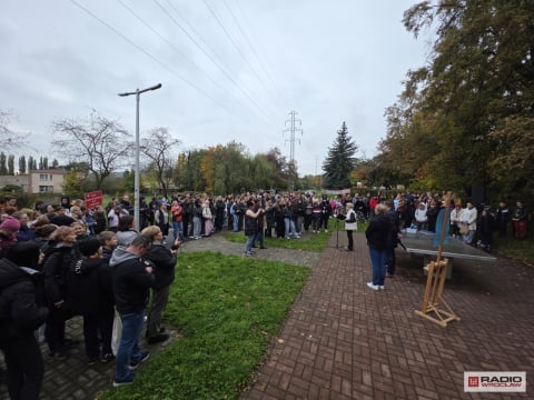 Młodzi ludzie zasadzili setki żonkili w szczytnym celu. "Pola Nadziei" pomogą wałbrzyskiemu hospicjum - 1