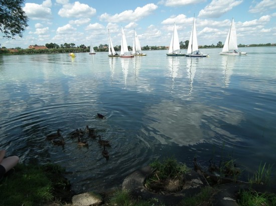 DRJ śpiewał szanty - 12