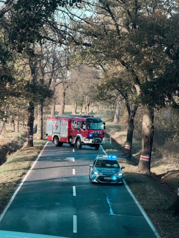 Śmiertelny wypadek na Dolnym Śląsku. Z samochodu niewiele zostało [ZDJĘCIA] - 7