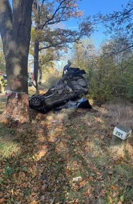 Śmiertelny wypadek na Dolnym Śląsku. Z samochodu niewiele zostało [ZDJĘCIA] - 5