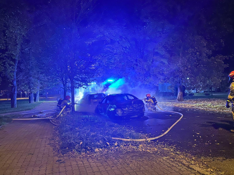 Strażacy walczyli z pożarem w Jaworze. Spłonął samochód osobowy [ZDJĘCIA] - 1
