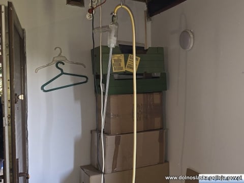 Zrobili z mieszkania fabrykę metamfetaminy. Zabezpieczono aż 43 kilogramy narkotyku [WIDEO] - 2