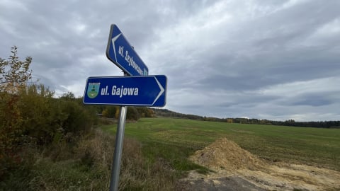 Droga donikąd za 6 milionów? Kontrowersje wokół inwestycji w Jeżowie Sudeckim - 0
