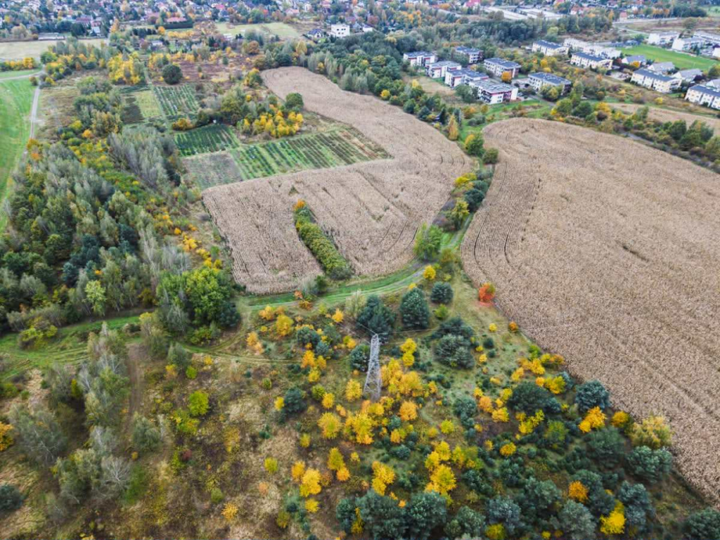 Powstanie nowy park na wschodzie Wrocławia. Jak będzie wyglądał? Zdecydują opinie mieszkańców - W tym miejscu powstanie nowy park na wschodzie Wrocławia.