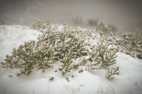 To nie biegun północny, to Dolny Śląsk! Tak wygląda Śnieżka pod koniec października [ZDJĘCIA] - 3