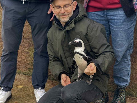 Sztuczna inteligencja pomoże chronić... pingwiny? Nad tym pracują we wrocławskim zoo - 4