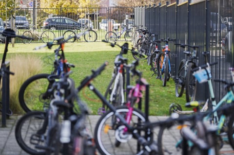 Na lekcje rowerem, hulajnogą lub piechotą. Wrocław nagrodził mobilnie aktywne szkoły - 2