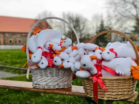 Na mecie czekają... pluszowe gąski i potrawy z gęsiny. Nietypowy bieg to tradycja w Jerzmanowej  - 0
