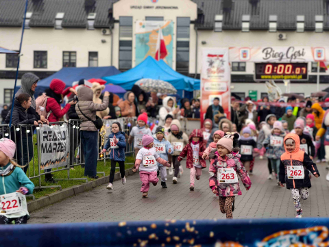 Na mecie czekają... pluszowe gąski i potrawy z gęsiny. Nietypowy bieg to tradycja w Jerzmanowej  - 3