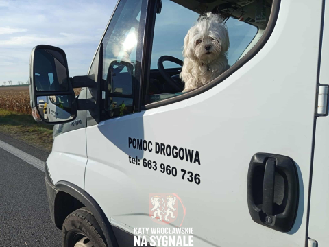 Dwie osoby ranne, lądował helikopter LPR. Poważny wypadek na drodze krajowej numer 5 [ZDJĘCIA] - 0