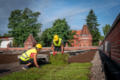 Zabytkowe wnętrza i dach pełen roślinności. Tak wyglądają nowe atrakcje w Hydropolis [ZDJĘCIA] - 5