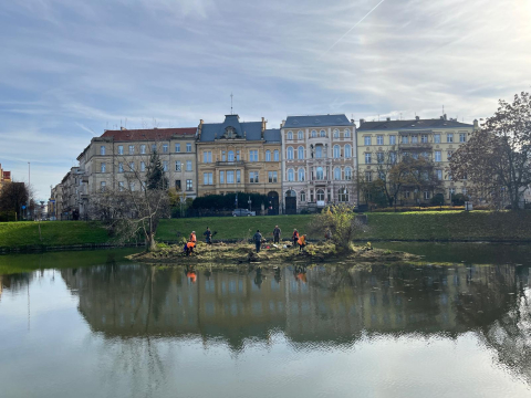Zazielenianie Wrocławia trwa. Tym razem chodzi o wyspy Fosy Miejskiej - 0
