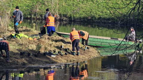 Zazielenianie Wrocławia trwa. Tym razem chodzi o wyspy Fosy Miejskiej - 2