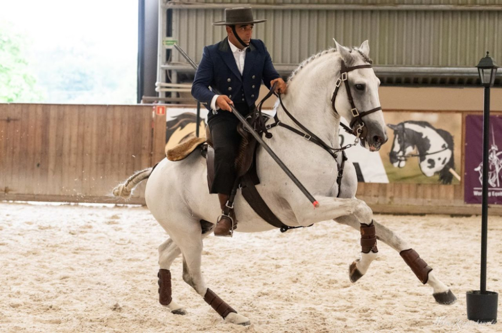 Rekordowa liczba zgłoszeń. Przed nami Mistrzostwa Polski w Working Equitation na wrocławskich Partynicach - Materiały Prasowe