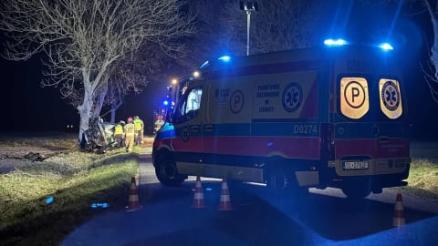 Koszmarny wypadek pod Jaworem. Samochód rozbił się na drzewie [ZDJĘCIA] - 0