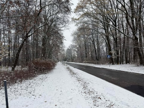 "Czy ktoś widział piaskarki?”. Śnieg paraliżuje dolnośląskie drogi, cztery osoby zginęły na trasie S8 - 7