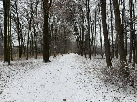 "Czy ktoś widział piaskarki?”. Śnieg paraliżuje dolnośląskie drogi, cztery osoby zginęły na trasie S8 - 8