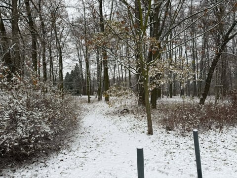 "Czy ktoś widział piaskarki?”. Śnieg paraliżuje dolnośląskie drogi, cztery osoby zginęły na trasie S8 - 4