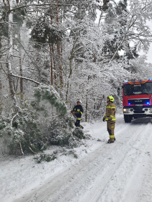 "Szklanka" na drogach Dolnego Śląska. Około 13 tysięcy osób bez prądu [RAPORT] - 14