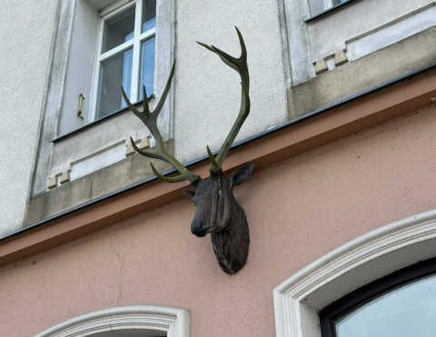 Para dla Dolnego Śląska w Jeleniej Górze. Wspólne zwiedzanie i niespodzianka dla mieszkańców - 3