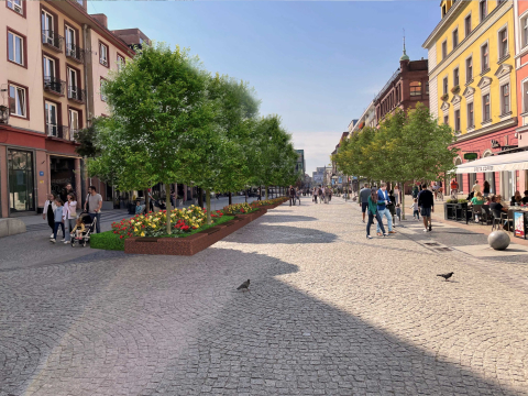 Rynek i Świdnicka będą zielone. Tak wyglądają zmiany na wizualizacjach [WIDEO] - 6