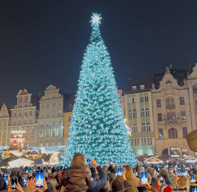 Wrocław w świątecznej odsłonie. Choinka i iluminacje rozświetliły miasto [ZOBACZ WIDEO]