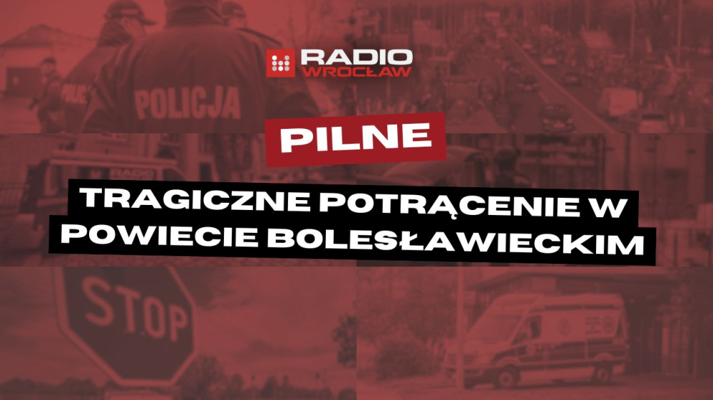 Tragiczne potrącenie w powiecie bolesławieckim. Nie żyje 81-letnia kobieta - Na miejscu, poza policjantami i ratownikami medycznymi, pracowali też strażacy z OSP Gromadka oraz OSP Wierzbowa.