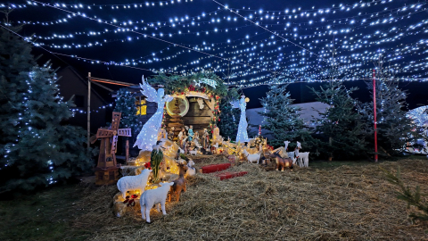 Świąteczna Kraina ruszyła w Starym Wielisławiu. Iluminacje zachwycają [MNÓSTWO ZDJĘĆ] - 7