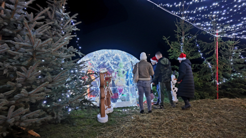 Świąteczna Kraina ruszyła w Starym Wielisławiu. Iluminacje zachwycają [MNÓSTWO ZDJĘĆ] - 8