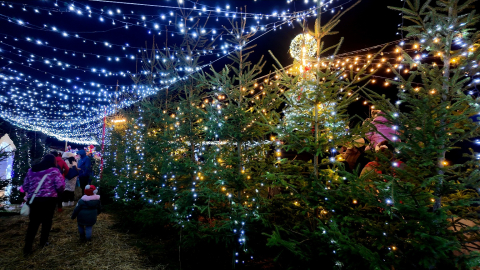 Świąteczna Kraina ruszyła w Starym Wielisławiu. Iluminacje zachwycają [MNÓSTWO ZDJĘĆ] - 5