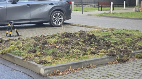 Mieszkańcy Polanicy-Zdroju stawiają barykady przed... dzikami. "Nie ma chwili, żebyśmy mogli czuć się bezpiecznie" - 4