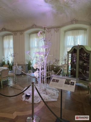 Zamek Książ w świątecznej odsłonie. Mistrzowie florystyki stworzyli magiczną atmosferę [ZDJĘCIA] - 11