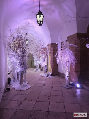 Zamek Książ w świątecznej odsłonie. Mistrzowie florystyki stworzyli magiczną atmosferę [ZDJĘCIA] - 13