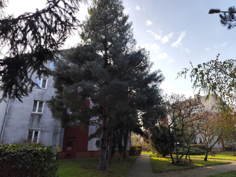 Wyremontują kilkanaście dachów na Maślicach i Leśnicy. Chodzi o budynki należące do gminy - 2