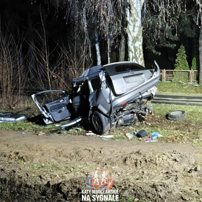Dwie osoby zginęły w wypadku w Ratowicach. Samoch&oacute;d osobowy uderzył w drzewo