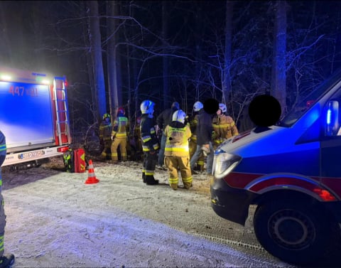 Osobówka wypadła z drogi i uderzyła w drzewo. Wypadek w powiecie jaworskim, pięć osób rannych - 0